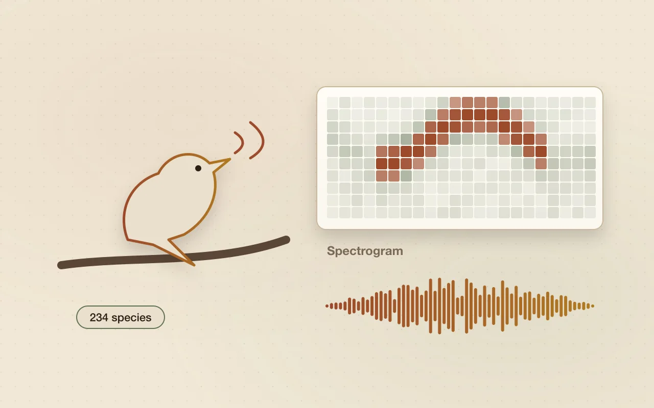 Illustration of a bird singing beside its spectrogram and audio waveform